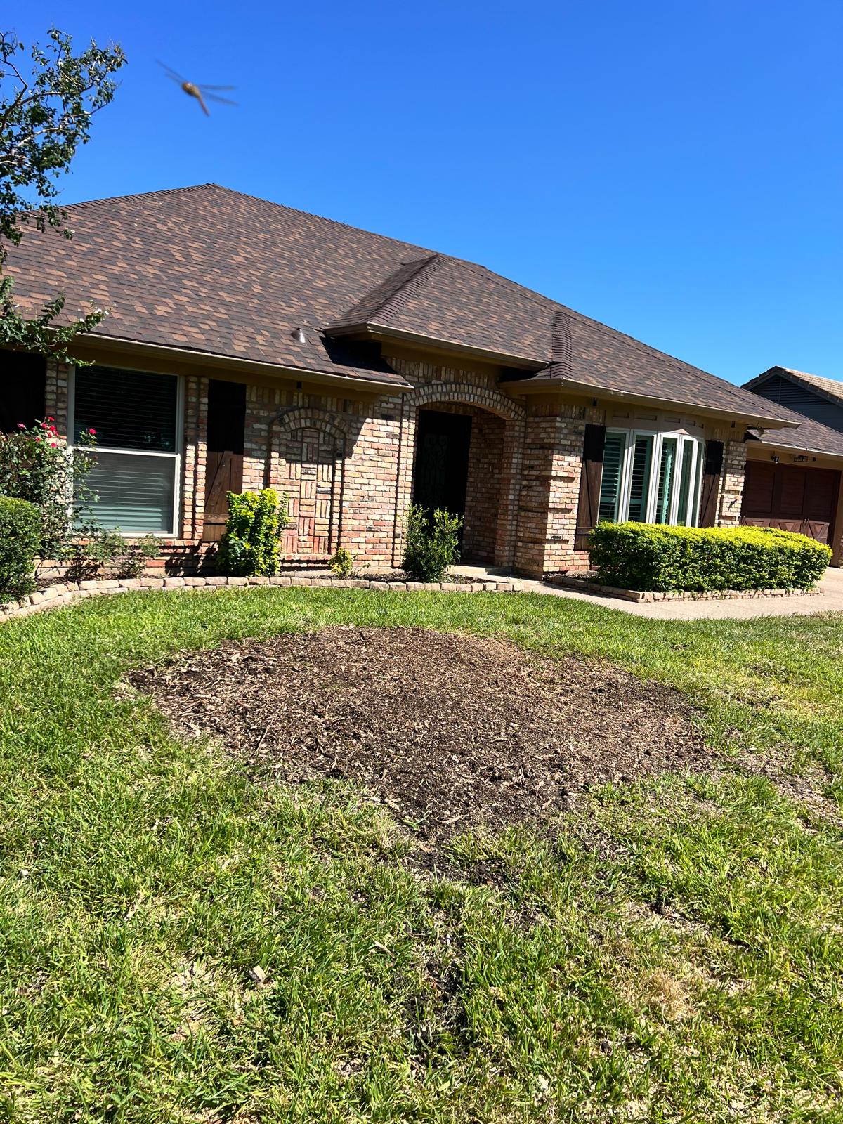 Tree Removal Services in Fort Worth TX