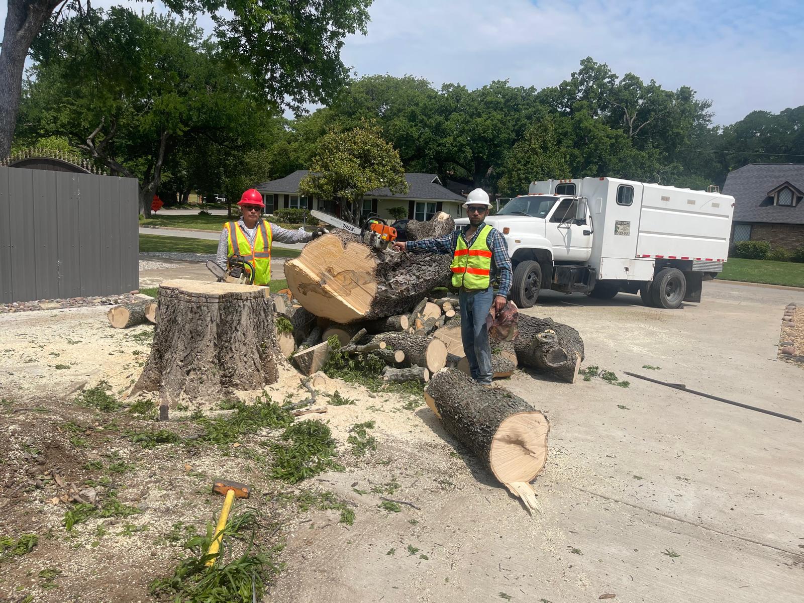 Stump Grinding Services in Fort Worth TX